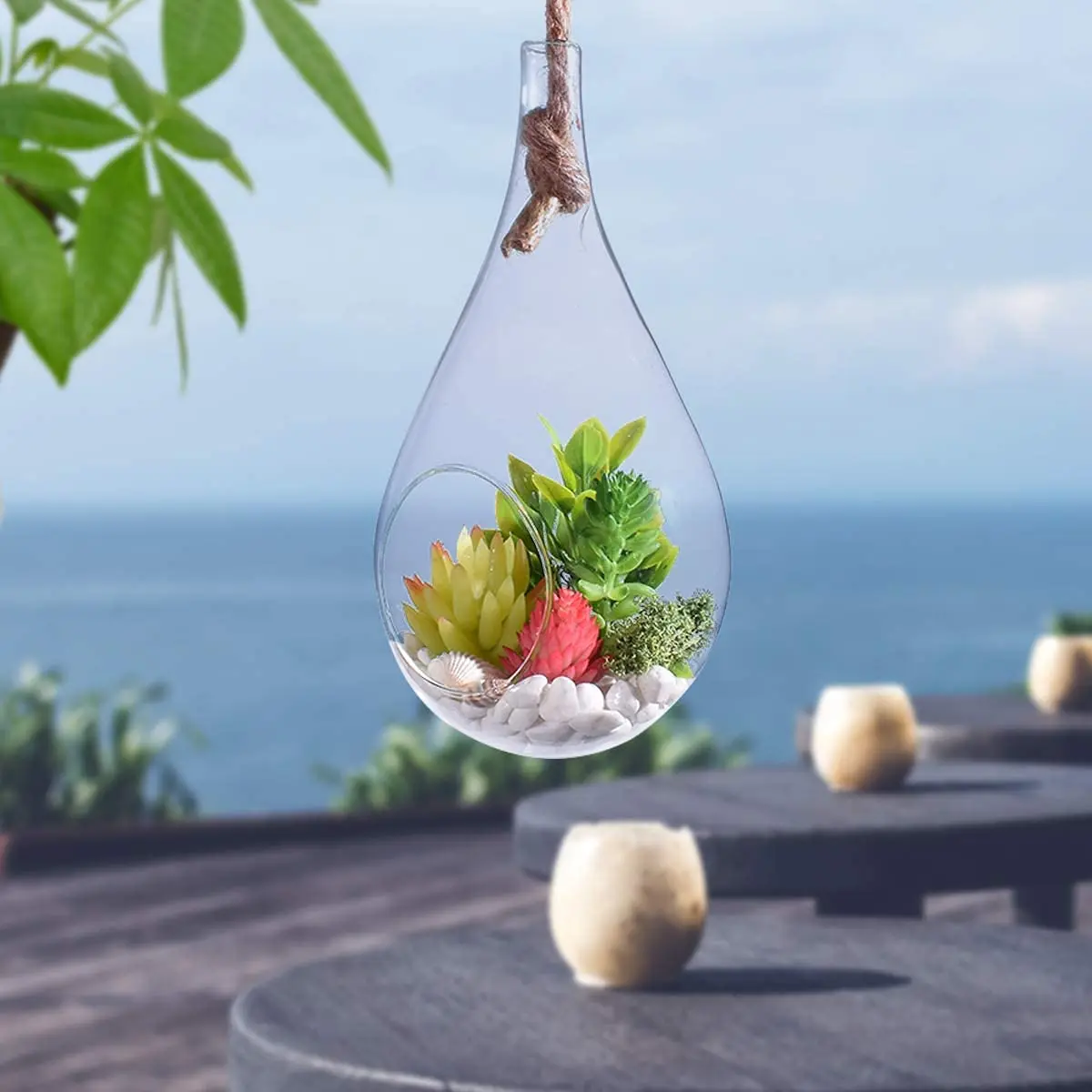 gotas de vidrio para plantas - Cómo se llaman las casas de vidrio para plantas
