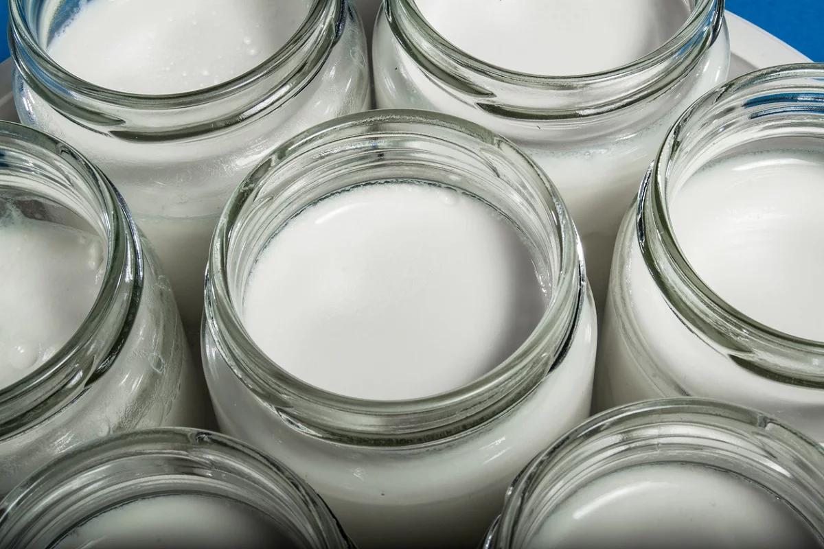 frascos de vidrio para yogurtera - Qué es lo que hace la yogurtera