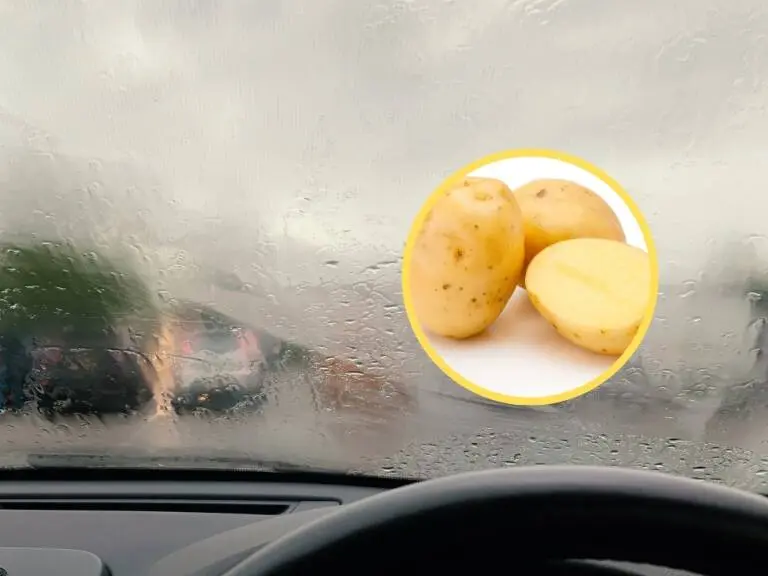 limpiar vidrios con papa - Qué hace la papa en el vidrio del auto