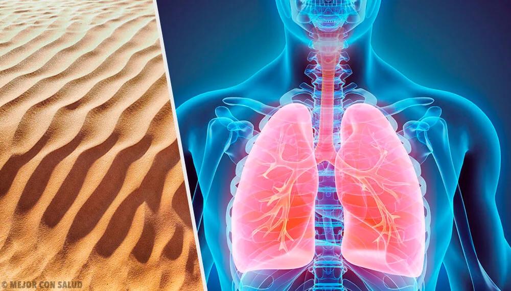 polvo de vidrio en los pulmones - Qué pasa con el polvo que entra a los pulmones