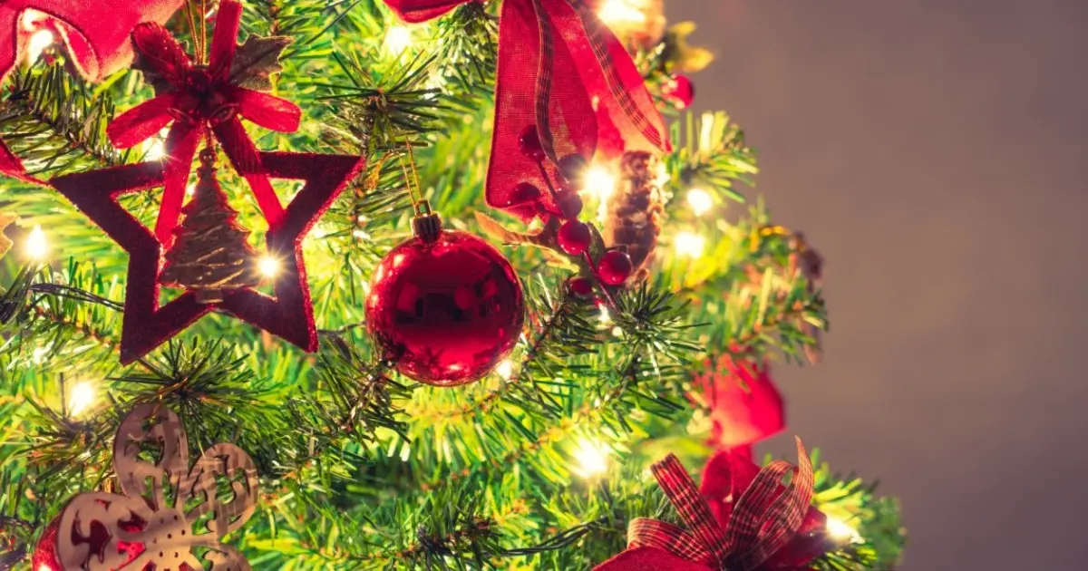arbol de navidad fibra de vidrio - Qué tipo de árbol es el más utilizado para poner en las navidades